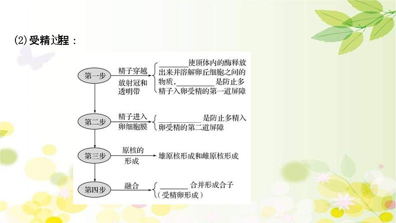 (新高考)高考生物一轮复习课件第十单元第7课胚胎工程与生物技术的安全性和伦理问题(含解析)07