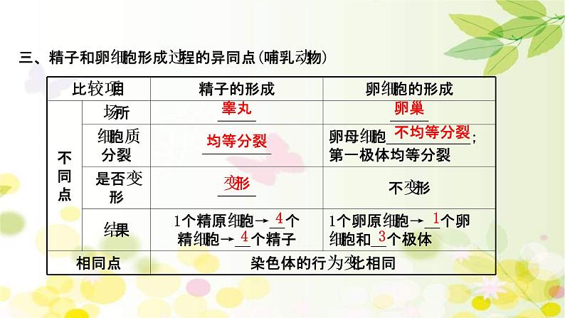 (新高考)高考生物一轮复习课件第四单元第2课细胞的减数分裂和受精作用(含解析)第6页