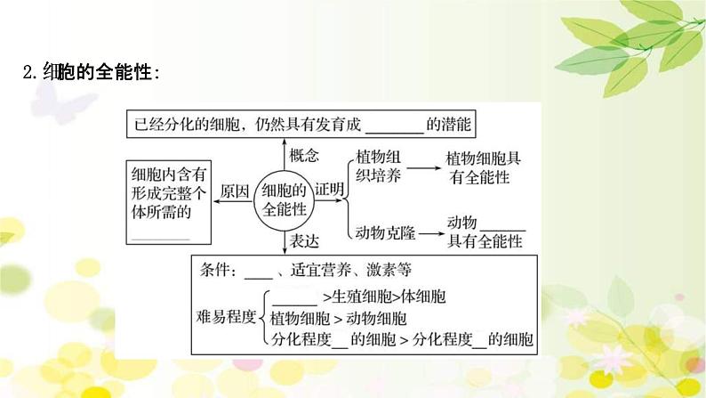 (新高考)高考生物一轮复习课件第四单元第3课细胞的分化、衰老、凋亡和癌变(含解析)第8页