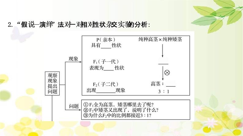 (新高考)高考生物一轮复习课件第五单元第1课基因的分离定律(含解析)07