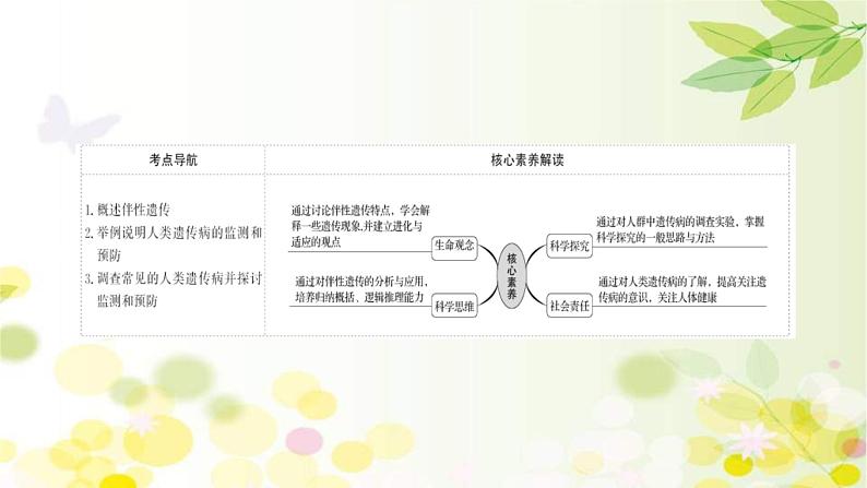 (新高考)高考生物一轮复习课件第五单元第3课基因在染色体上、伴性遗传与人类遗传病(含解析)第2页