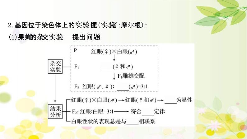 (新高考)高考生物一轮复习课件第五单元第3课基因在染色体上、伴性遗传与人类遗传病(含解析)第6页