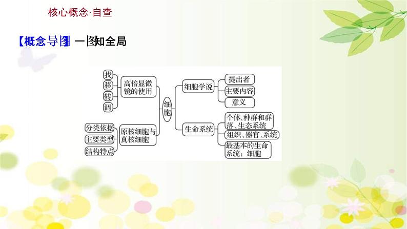 (新高考)高考生物一轮复习课件第一单元第1课走近细胞(含解析)03