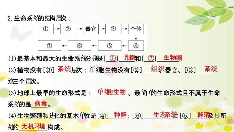 (新高考)高考生物一轮复习课件第一单元第1课走近细胞(含解析)06