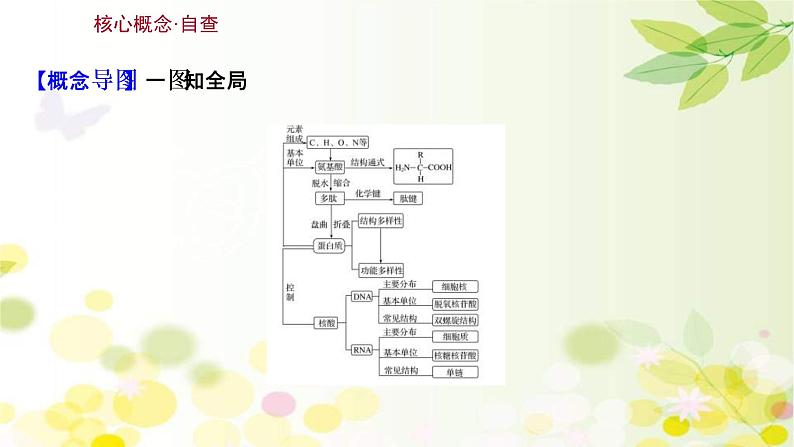 (新高考)高考生物一轮复习课件第一单元第3课蛋白质和核酸(含解析)03