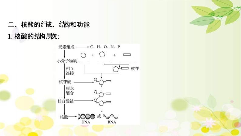 (新高考)高考生物一轮复习课件第一单元第3课蛋白质和核酸(含解析)07