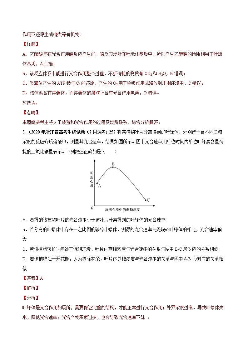 (新高考)高考生物一轮复习课时作业第三单元光合作用与细胞呼吸(含解析)第2页