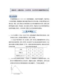 （新高考）高考生物三轮冲刺小题必练6光合作用、光合作用与细胞呼吸的关系(2份打包，解析版+原卷版，可预览)