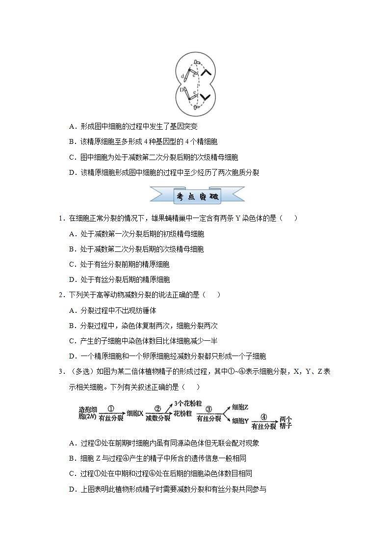（新高考）高考生物三轮冲刺小题必练8遗传的细胞学基础(2份打包，解析版+原卷版，可预览)02