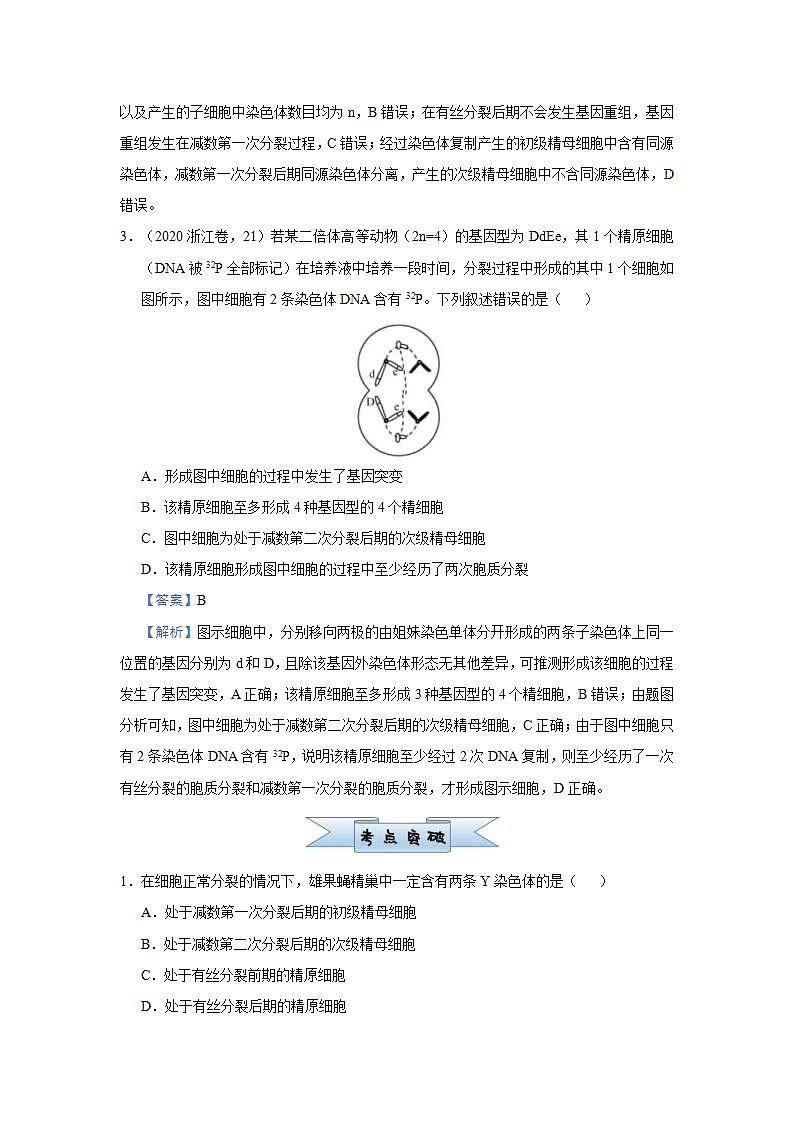 （新高考）高考生物三轮冲刺小题必练8遗传的细胞学基础(2份打包，解析版+原卷版，可预览)02