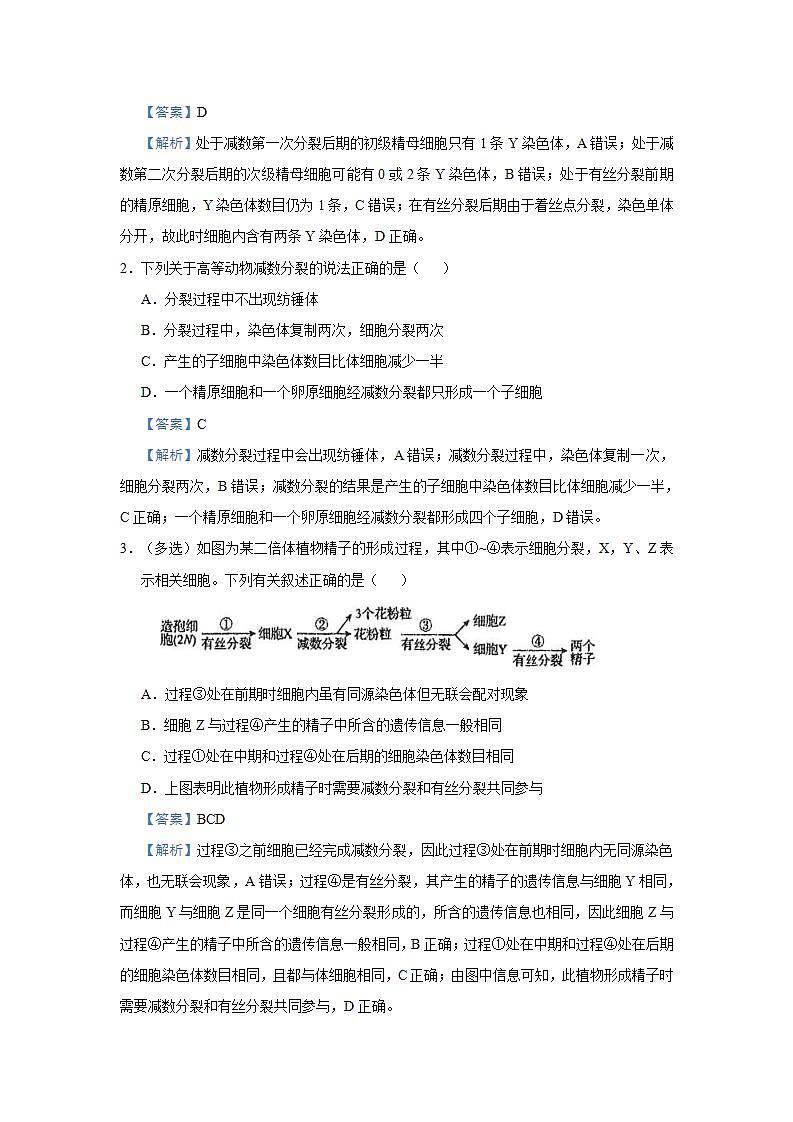 （新高考）高考生物三轮冲刺小题必练8遗传的细胞学基础(2份打包，解析版+原卷版，可预览)03