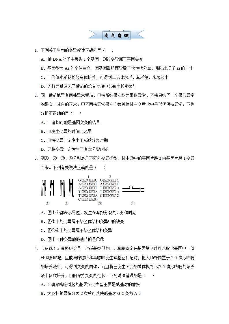 （新高考）高考生物三轮冲刺小题必练14生物的变异及育种生物的进化(原卷版)第2页