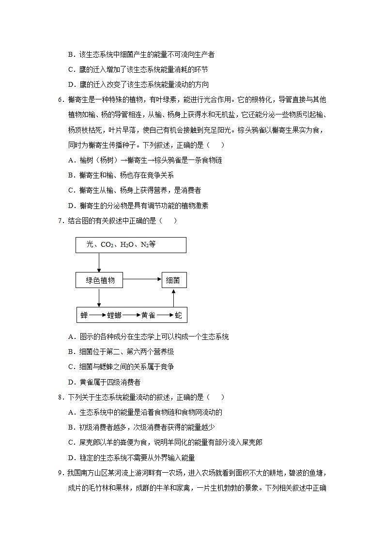 （新高考）高考生物三轮冲刺小题必练19生态系统的结构和能量流动(2份打包，解析版+原卷版，可预览)03