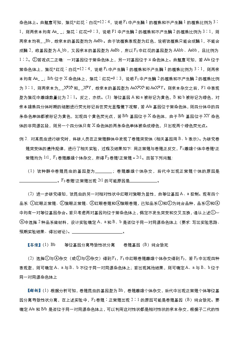 （新高考）高考生物三轮冲刺大题优练3遗传的基本规律及其应用(解析版)第2页