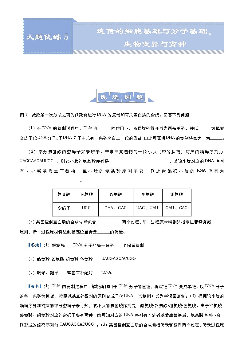 （新高考）高考生物三轮冲刺大题优练5遗传的细胞基础与分子基础、生物变异与育种(2份打包，解析版+原卷版，可预览)01