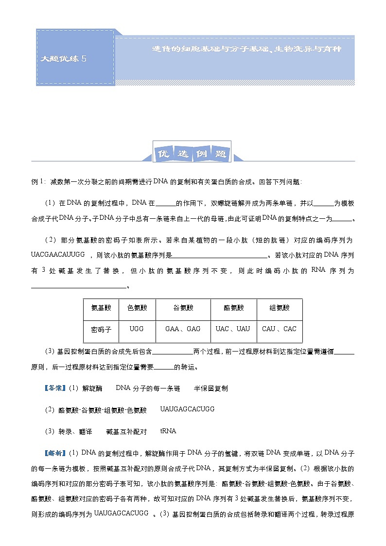 （新高考）高考生物三轮冲刺大题优练5遗传的细胞基础与分子基础、生物变异与育种(2份打包，解析版+原卷版，可预览)01
