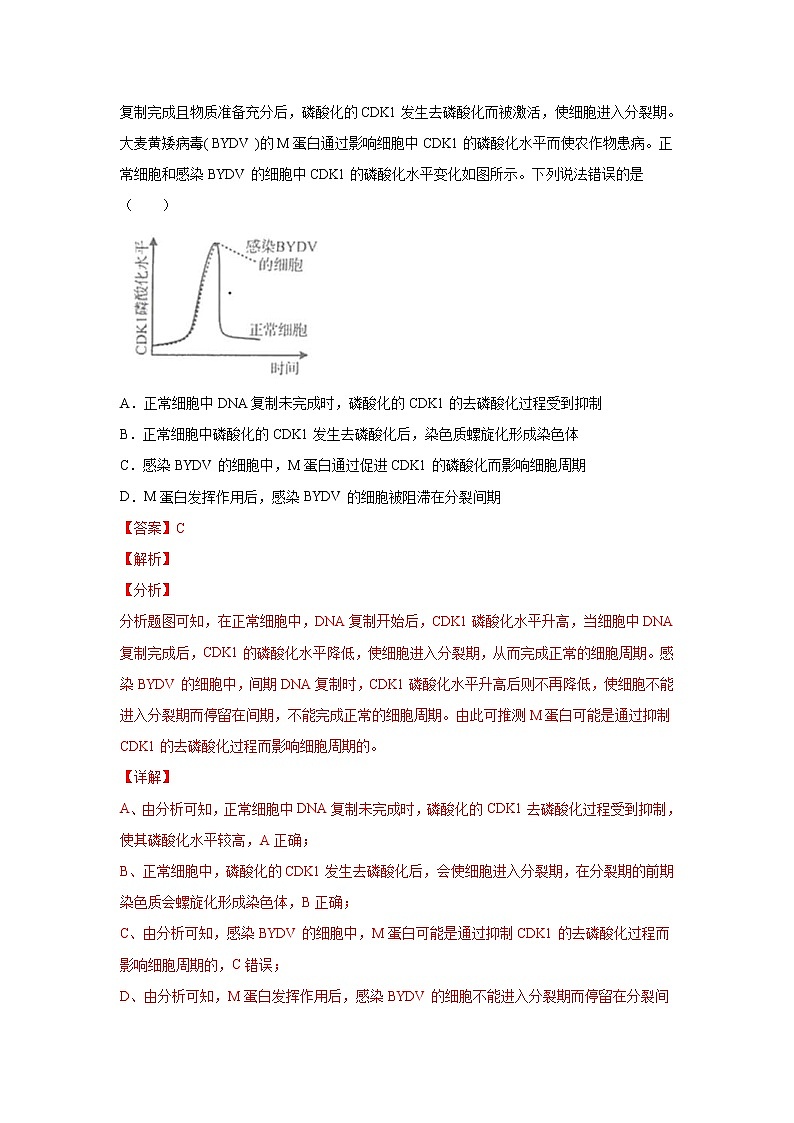 (新高考)高考生物二轮复习考点精讲练习7细胞的生命历程(含解析)02