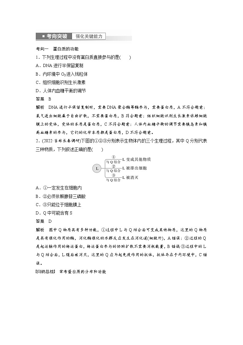 (新高考)2023年高考生物一轮复习讲义第1单元第3课时蛋白质是生命活动的主要承担者(含解析)第3页