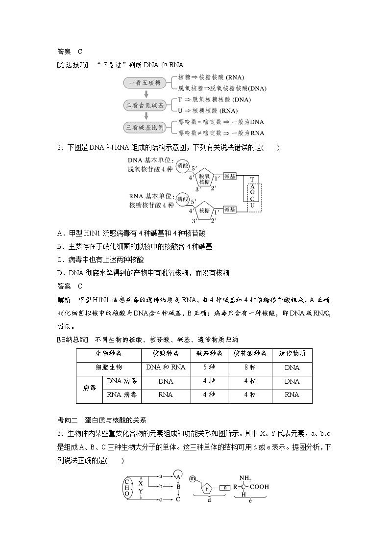 (新高考)2023年高考生物一轮复习讲义第1单元第4课时核酸是遗传信息的携带者(含解析)第3页