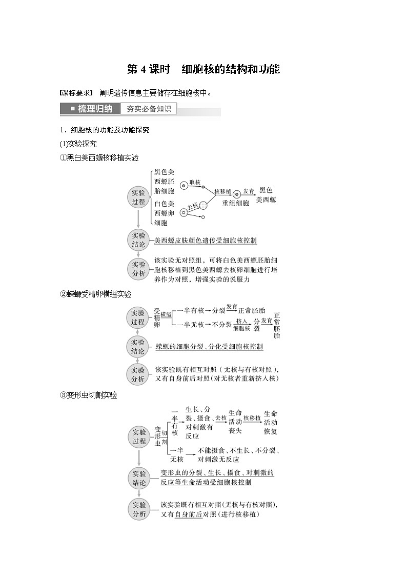 (新高考)2023年高考生物一轮复习讲义第2单元第4课时细胞核的结构和功能(含解析)第1页