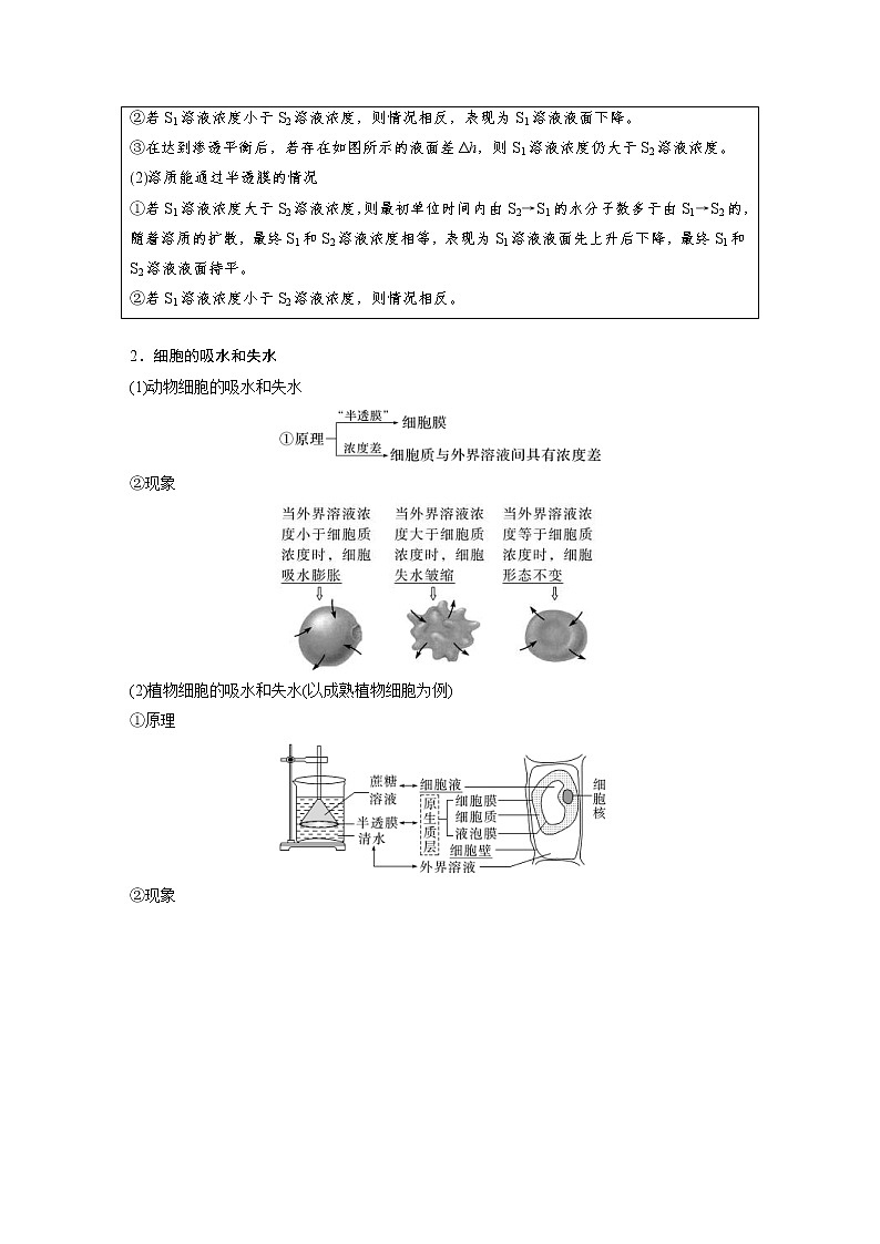 (新高考)2023年高考生物一轮复习讲义第2单元第5课时水进出细胞的原理(含解析)第2页
