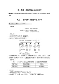 (新高考)2023年高考生物一轮复习讲义第3单元第3课时细胞呼吸的方式和过程(含解析)