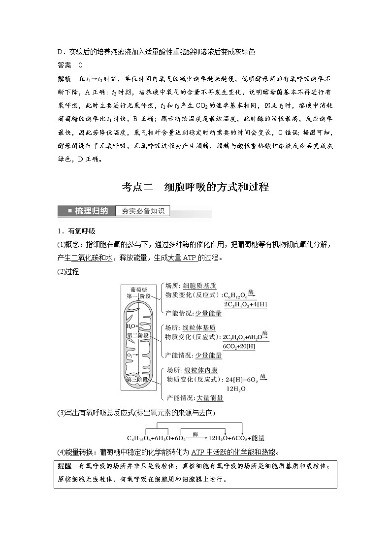 (新高考)2023年高考生物一轮复习讲义第3单元第3课时细胞呼吸的方式和过程(含解析)03