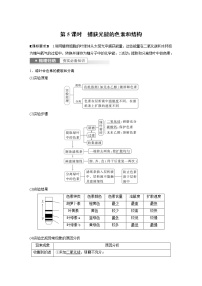 (新高考)2023年高考生物一轮复习讲义第3单元第5课时捕获光能的色素和结构(含解析)