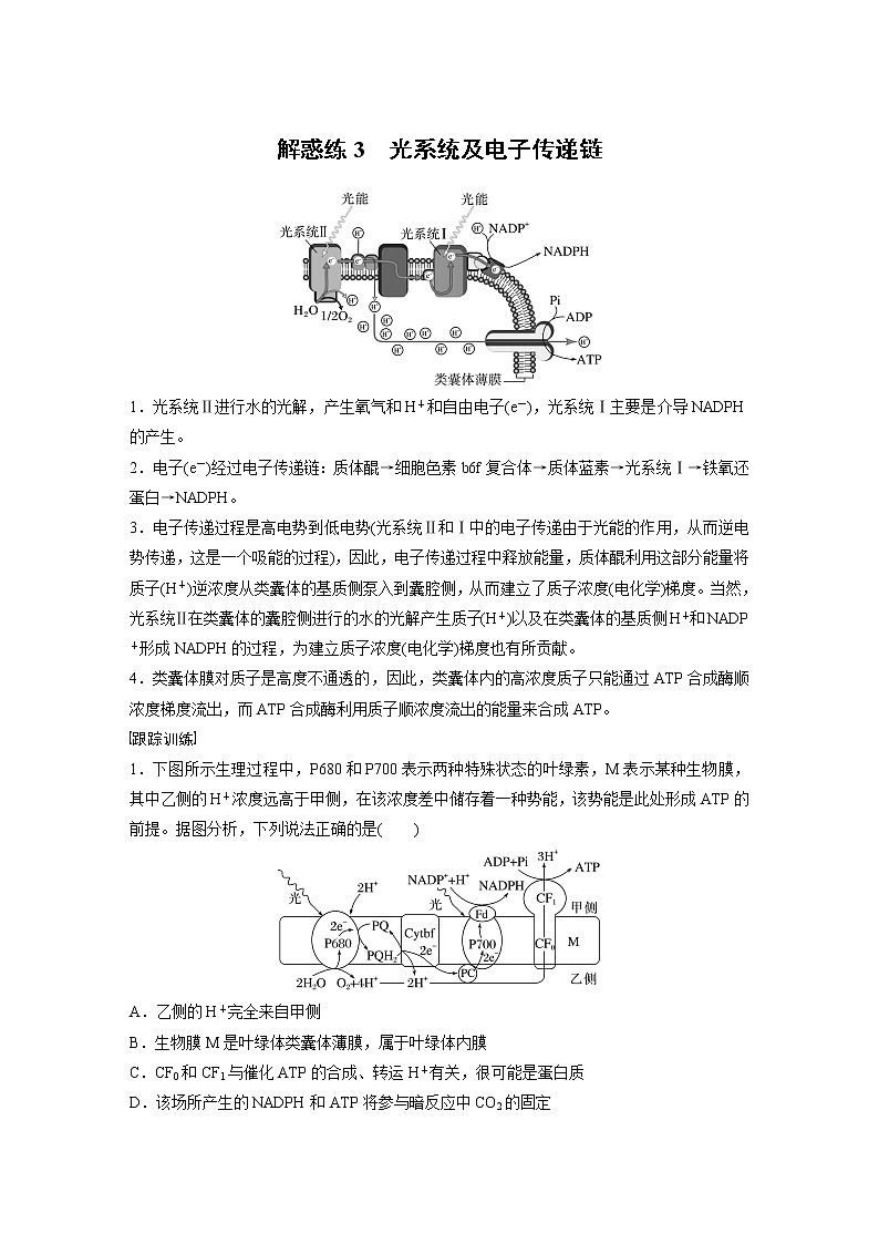 (新高考)2023年高考生物一轮复习讲义第3单元解惑练3光系统及电子传递链(含解析)第1页