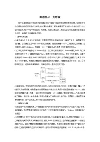 (新高考)2023年高考生物一轮复习讲义第3单元解惑练2光呼吸(含解析)