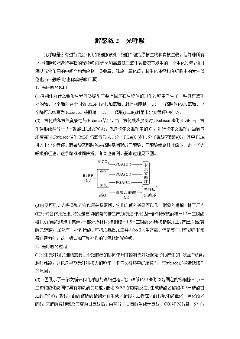 (新高考)2023年高考生物一轮复习讲义第3单元解惑练2光呼吸(含解析)01