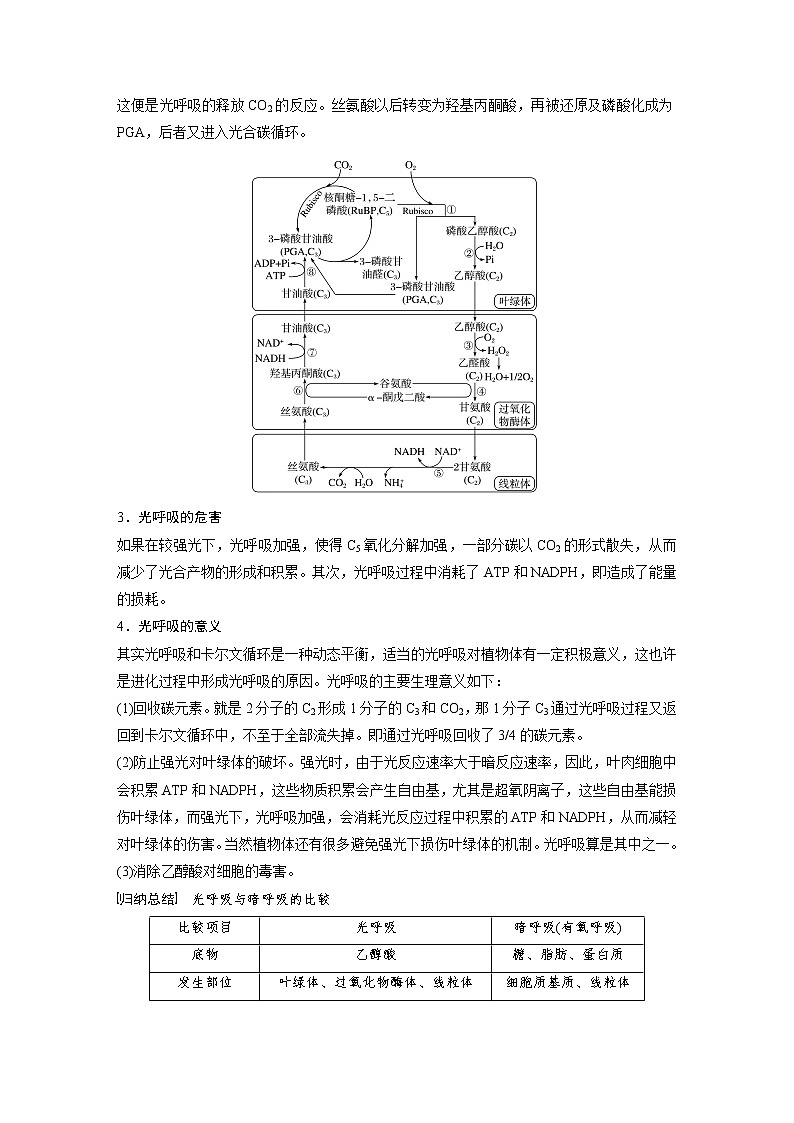 (新高考)2023年高考生物一轮复习讲义第3单元解惑练2光呼吸(含解析)02