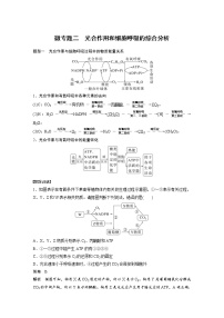 (新高考)2023年高考生物一轮复习讲义第3单元微专题二光合作用和细胞呼吸的综合分析(含解析)