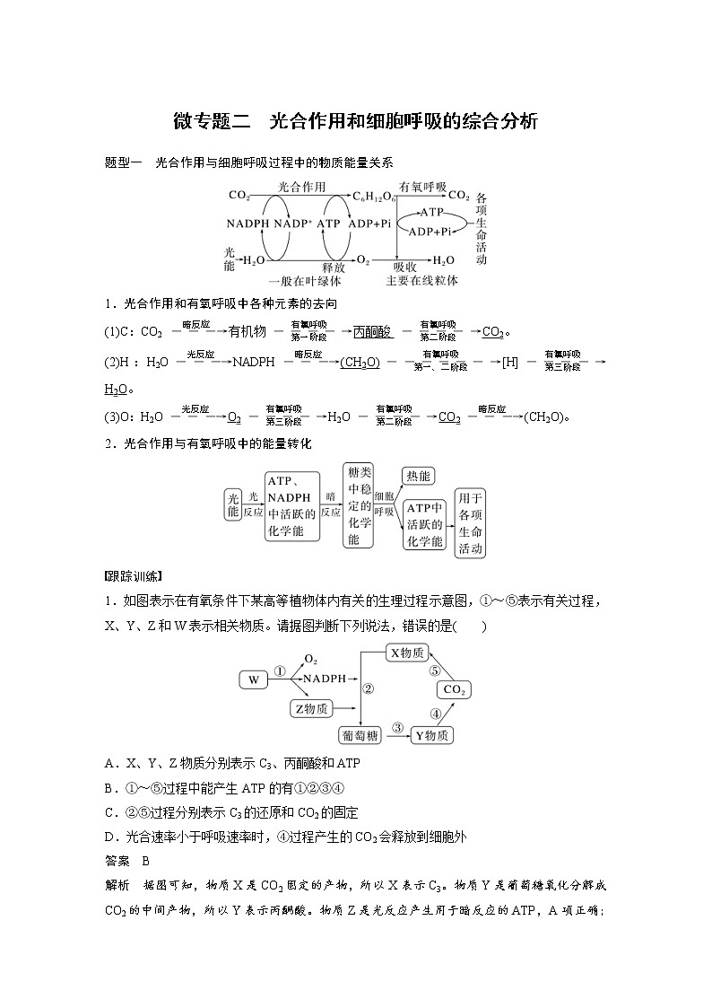 (新高考)2023年高考生物一轮复习讲义第3单元微专题二光合作用和细胞呼吸的综合分析(含解析)01