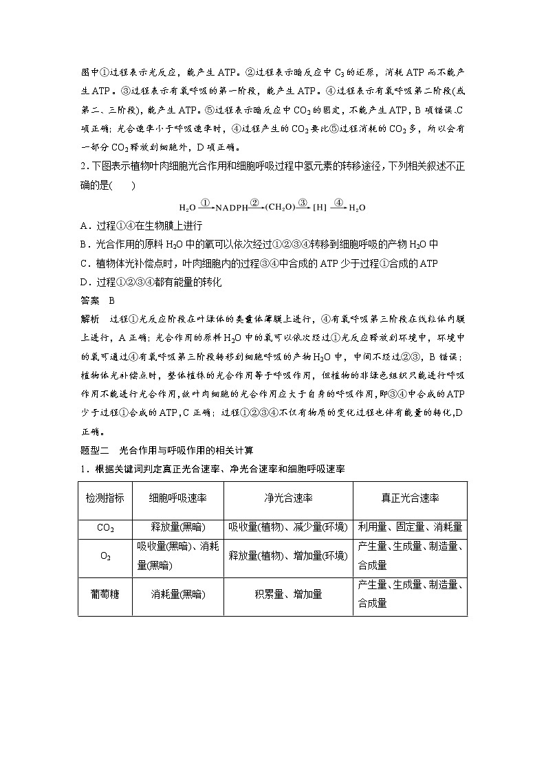 (新高考)2023年高考生物一轮复习讲义第3单元微专题二光合作用和细胞呼吸的综合分析(含解析)02