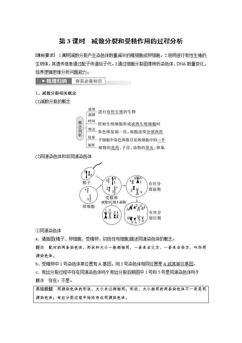 (新高考)2023年高考生物一轮复习讲义第4单元第3课时减数分裂和受精作用的过程分析(含解析)01