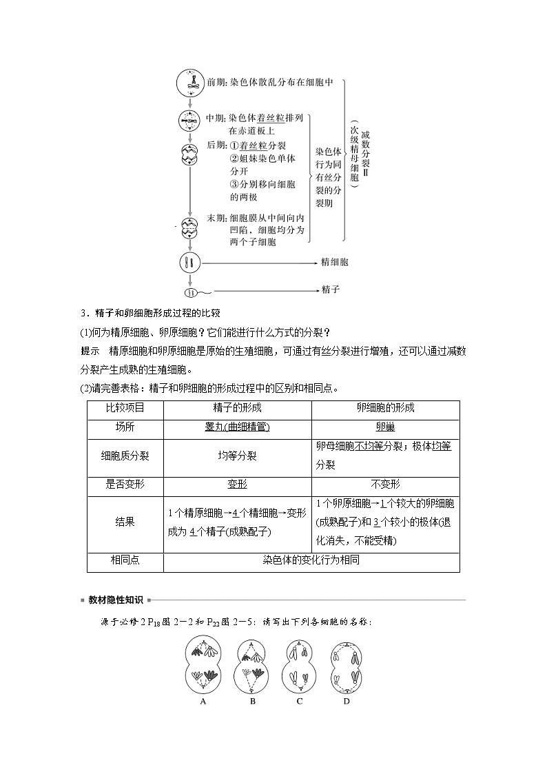 (新高考)2023年高考生物一轮复习讲义第4单元第3课时减数分裂和受精作用的过程分析(含解析)03