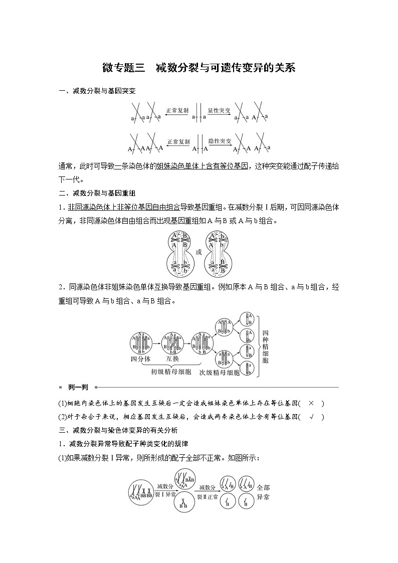 (新高考)2023年高考生物一轮复习讲义第4单元微专题三减数分裂与可遗传变异的关系(含解析)第1页