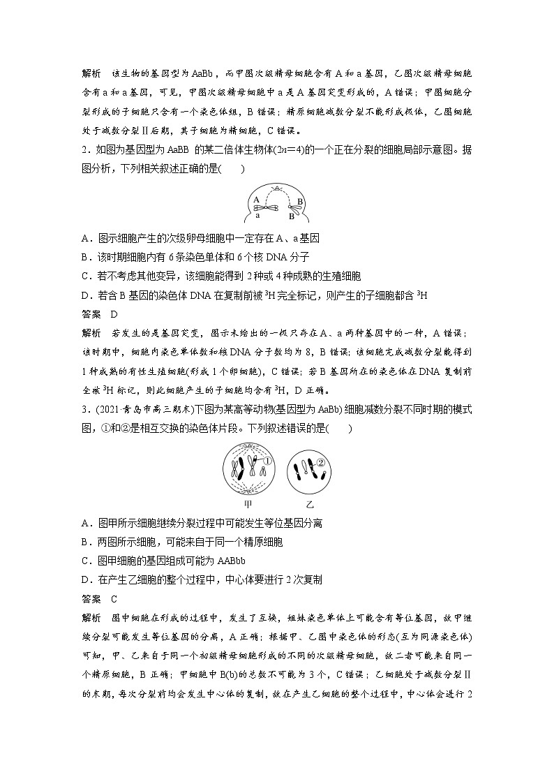 (新高考)2023年高考生物一轮复习讲义第4单元微专题三减数分裂与可遗传变异的关系(含解析)第3页