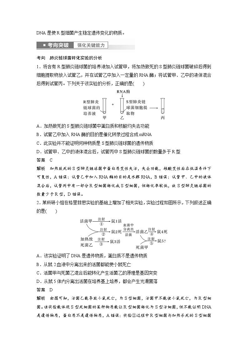 (新高考)2023年高考生物一轮复习讲义第6单元第1课时DNA是主要的遗传物质(含解析)第3页