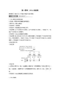 (新高考)2023年高考生物一轮复习讲义第6单元第3课时DNA的复制(含解析)