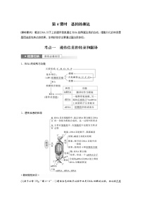 (新高考)2023年高考生物一轮复习讲义第6单元第4课时基因的表达(含解析)