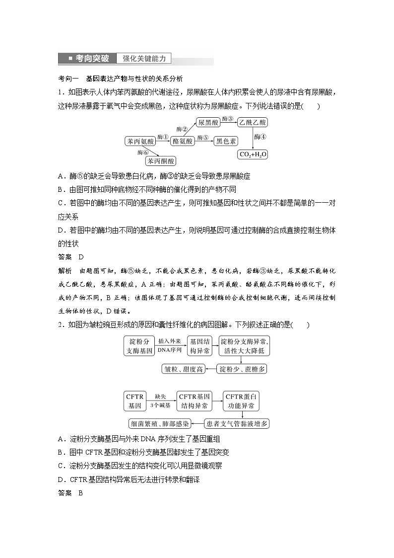 (新高考)2023年高考生物一轮复习讲义第6单元第5课时基因表达与性状的关系(含解析)03