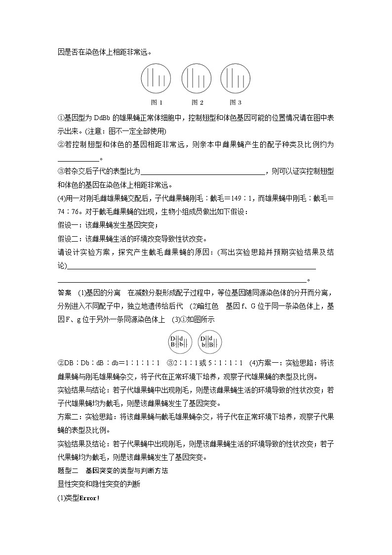 (新高考)2023年高考生物一轮复习讲义第7单元微专题六利用“假说—演绎法”解决生物变异实验探究题(含解析)第2页