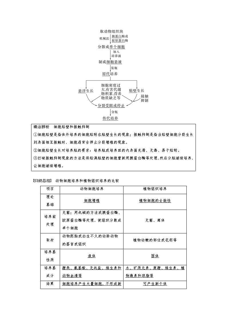 (新高考)2023年高考生物一轮复习讲义第10单元第4课时动物细胞工程(含解析)第2页
