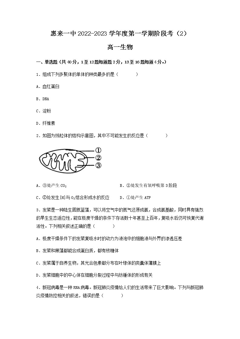 广东省揭阳市惠来县第一中学2022-2023学年高一生物上学期12月月考试卷（Word版附答案）01