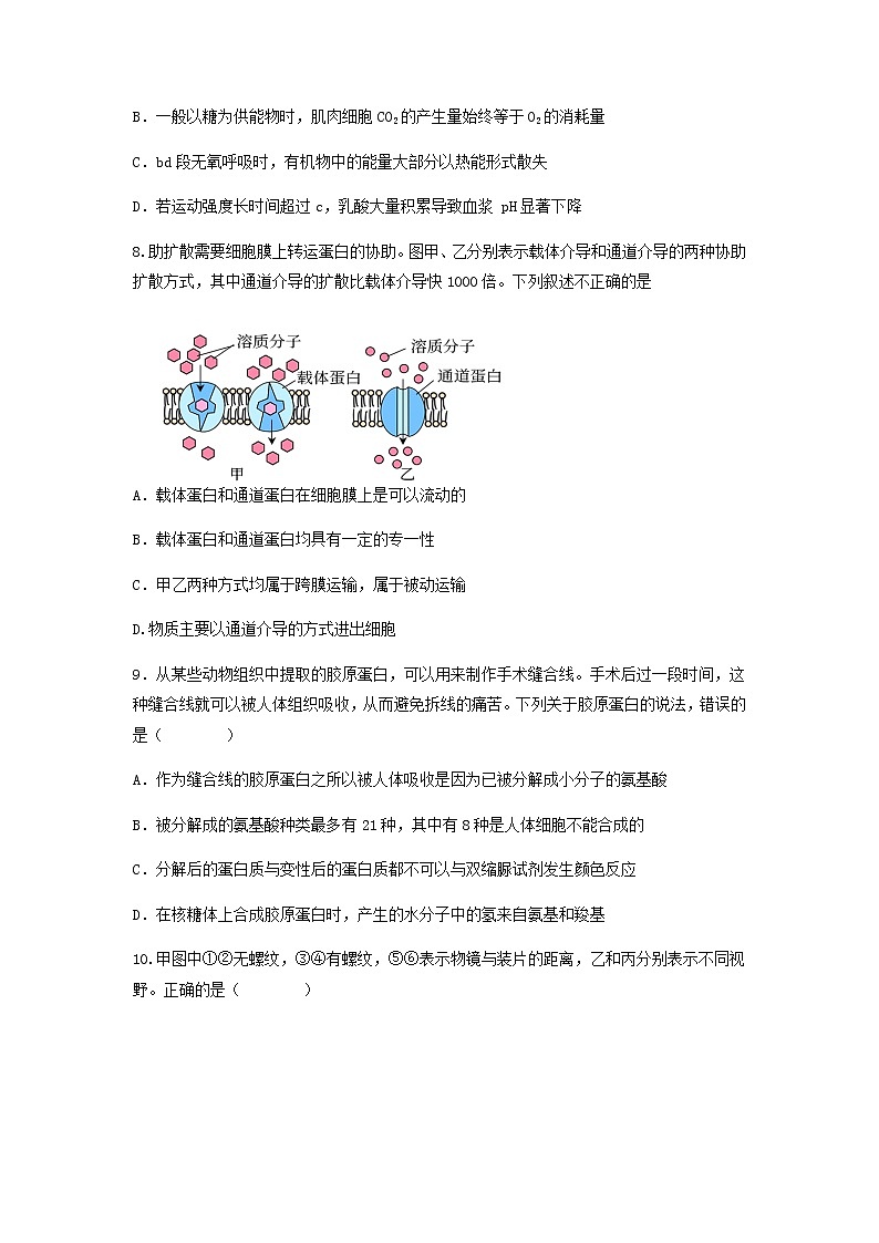 广东省揭阳市惠来县第一中学2022-2023学年高一生物上学期12月月考试卷（Word版附答案）03