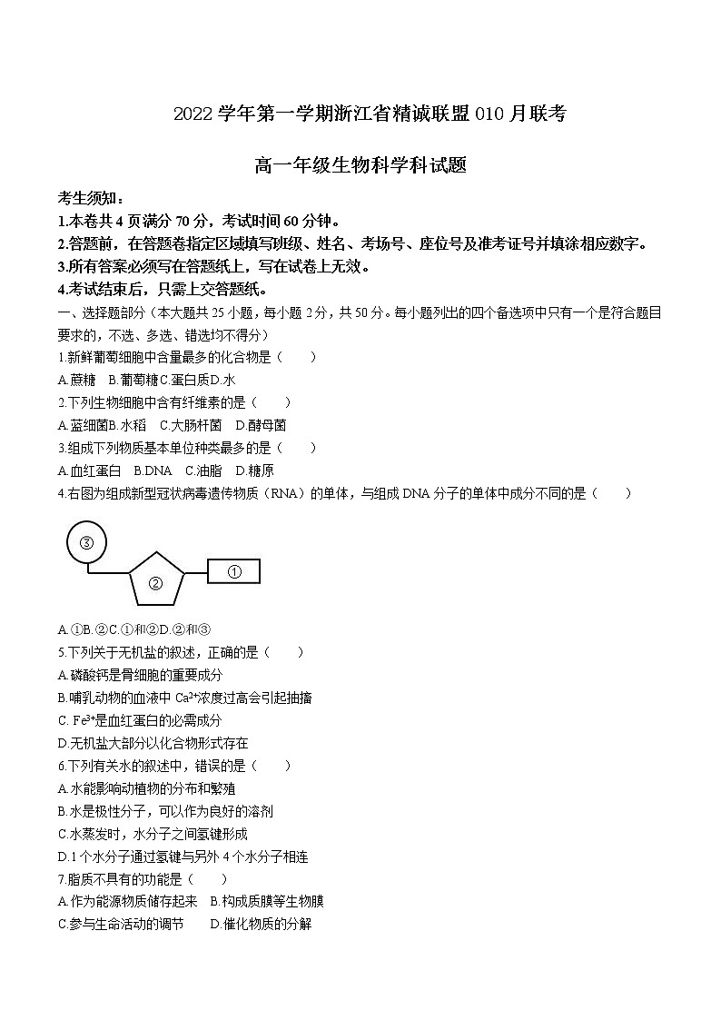 2022-2023学年浙江省精诚联盟高一上学期10月联考生物试题含答案第1页