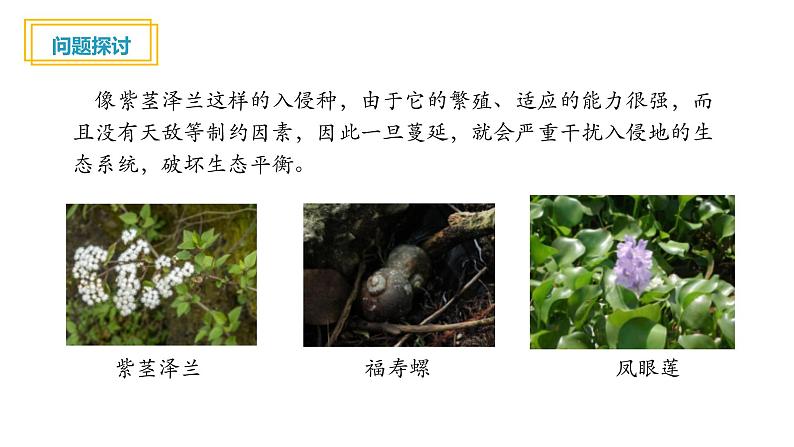 3.5生态系统的稳定性课件PPT第5页