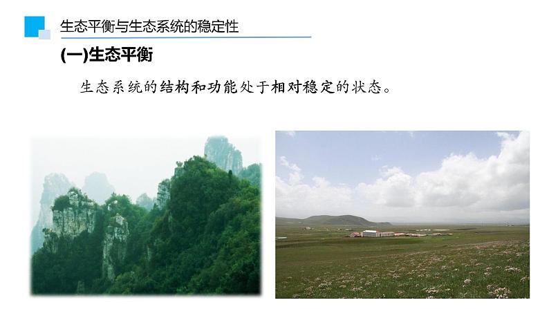 3.5生态系统的稳定性课件PPT第6页